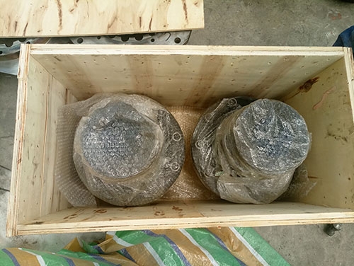 出口波兰的GICLZ10鼓型齿式联轴器